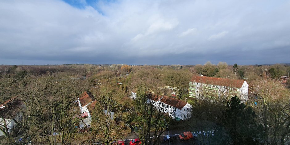 Die Kleingartenkolonie Diekmoor in Langenhorn: Bald sollen hier 700 Wohnungen gebaut werden. 