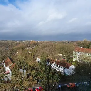 Die Kleingartenkolonie Diekmoor in Langenhorn: Bald sollen hier 700 Wohnungen gebaut werden. 
