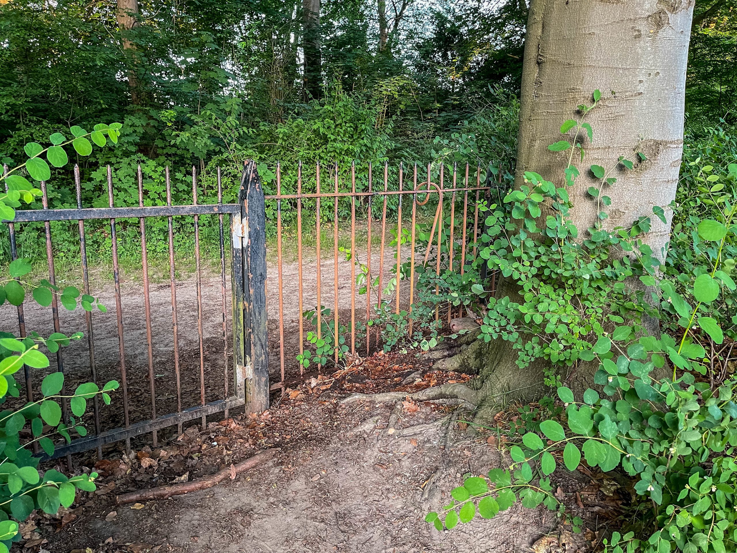 Über diesen Zaun am Jenischpark wollte ein 45-Jähriger klettern, bevor er aufgespießt wurde.