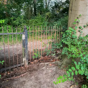 Über diesen Zaun am Jenischpark wollte ein 45-Jähriger klettern, bevor er aufgespießt wurde.