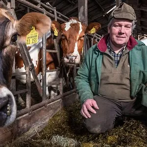 Bauer Hauke Jaacks mit seinen Kühen.