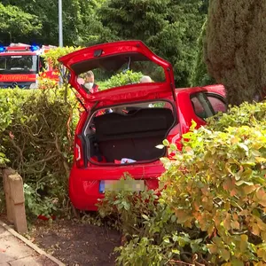 Der VW Up durchbrach eine Hecke und kam im Garten zum Stehen.