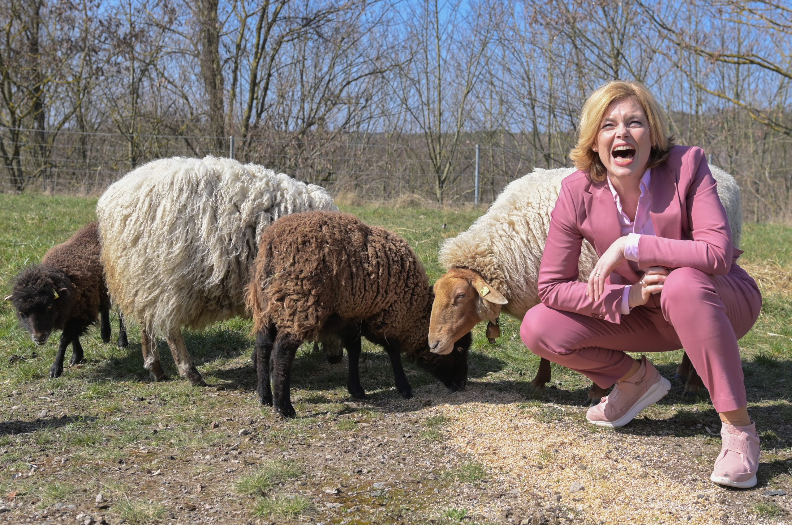 Julia Klöckner hockt neben vier Schafen und lacht.