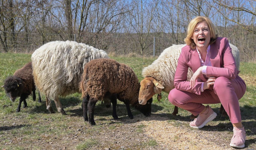 Julia Klöckner hockt neben vier Schafen und lacht.