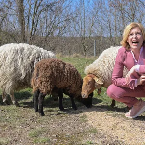 Julia Klöckner hockt neben vier Schafen und lacht.