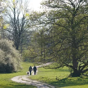 Menschen spazieren im Jenischpark
