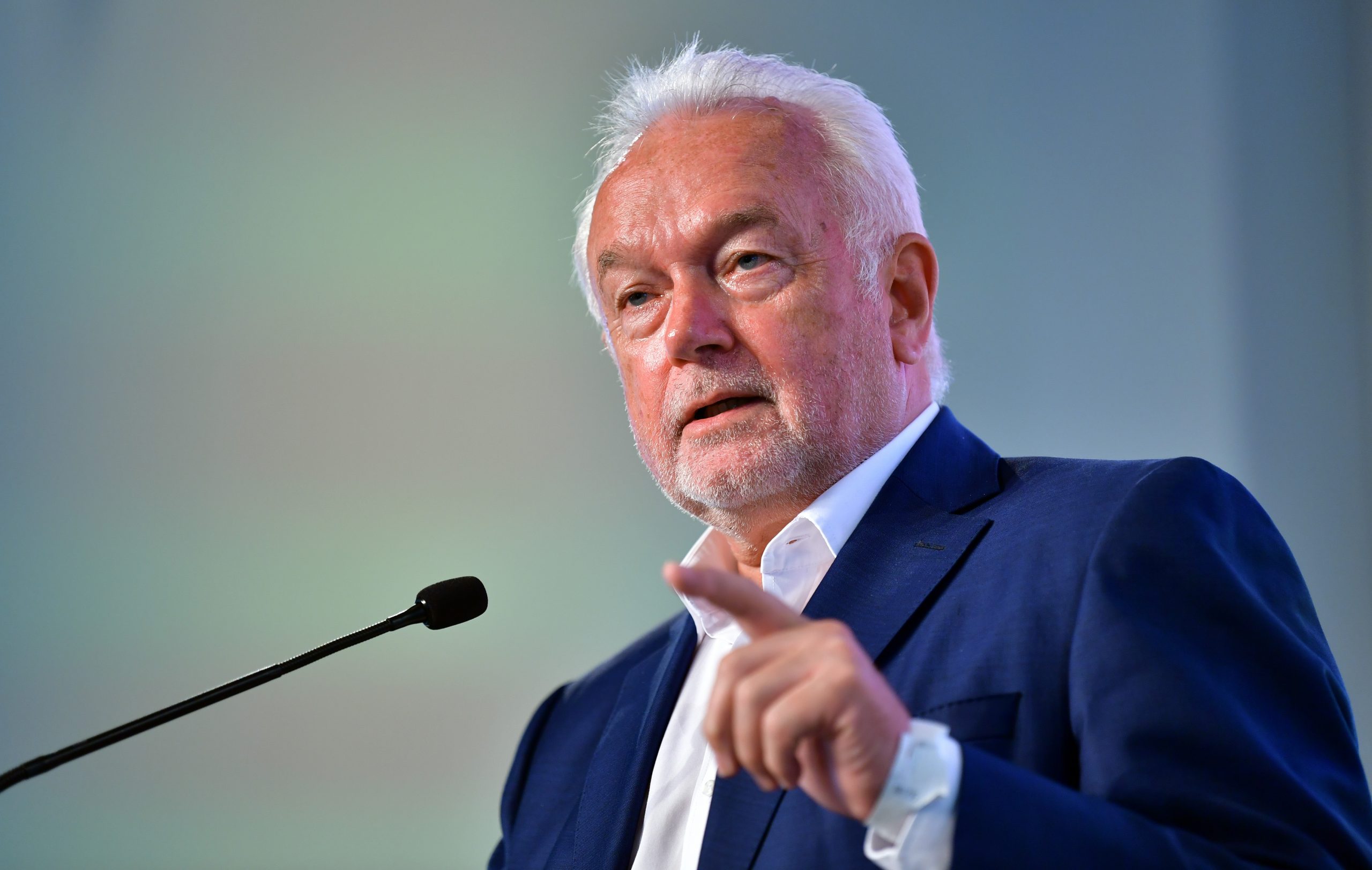FDP-Politiker Wolfgang Kubicki