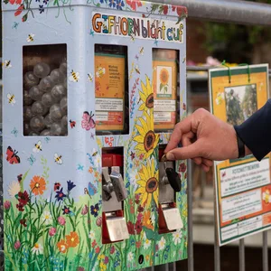 Ein Mann wirft 20 Cent in einen Kaugummiautomaten mit Blumensamen