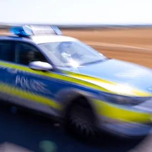Ein Polizeiwagen (Symbolfoto)