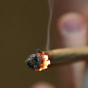 Joint