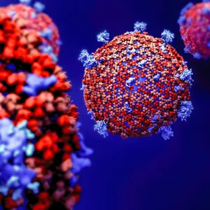Coronavirus (Illustration)