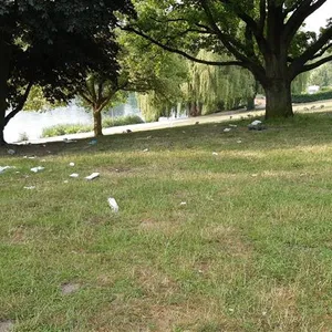 Müll im Stadtpark
