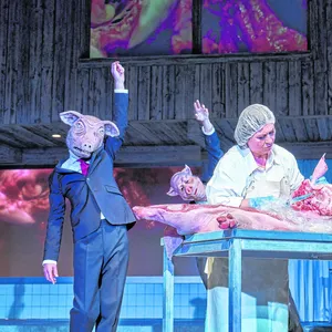 Im Theaterstück „Lärm. Blindes Sehen. Blinde sehen!“ zerschneidet Eva Mattes ein Schwein.