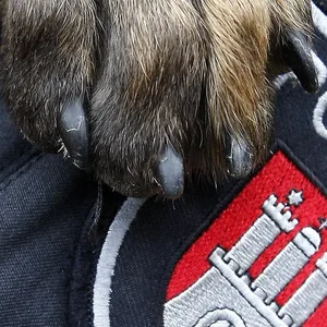 Ein Polizeihund legt seine Pfote auf das Abzeichen an einer Polizei-Uniform.