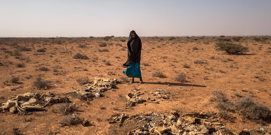 Eine Somalische Hirtin mit verendeten Ziegen. Unter ihr ausgetrockneter Boden mit grau aussehenden Pflanzenbüscheln. Der Klimawandel beraubt wohl Millionen Menschen ihrer Lebensgrundlage.