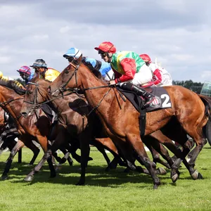 Jockeys und Pferde beim Rennen in Hamburg-Horn