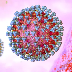Das Corona-Virus unter dem Mikroskop (Symbolbild).
