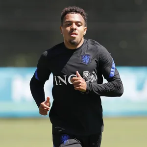 Donyell Malen