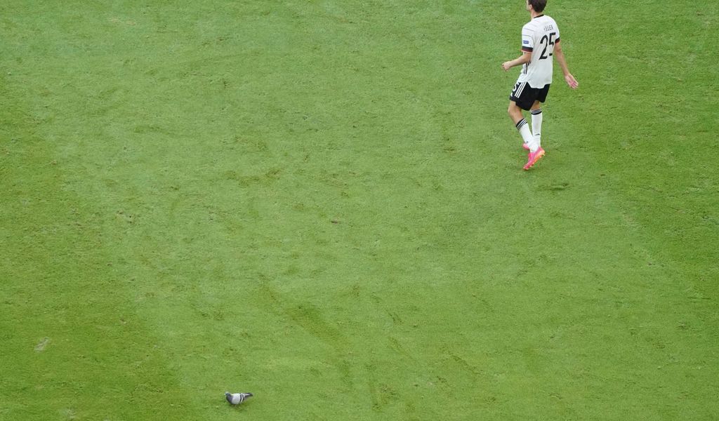 Eine Taube neben Thomas Müller auf dem Spielfeld.