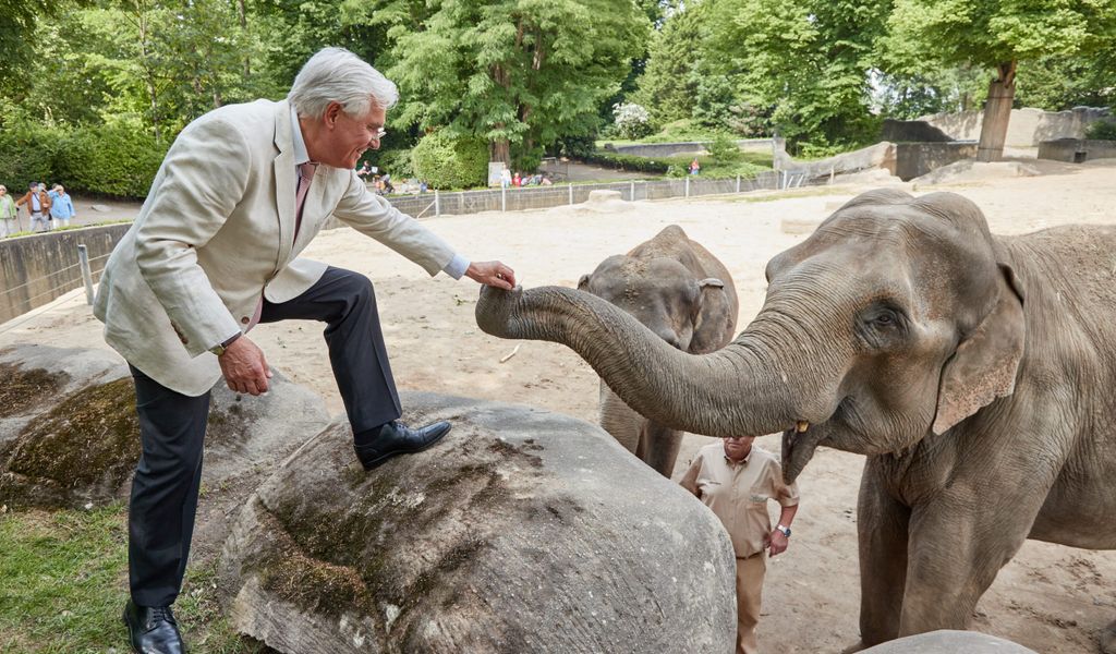 Elefant bekommt ein Leckerchen gereicht.