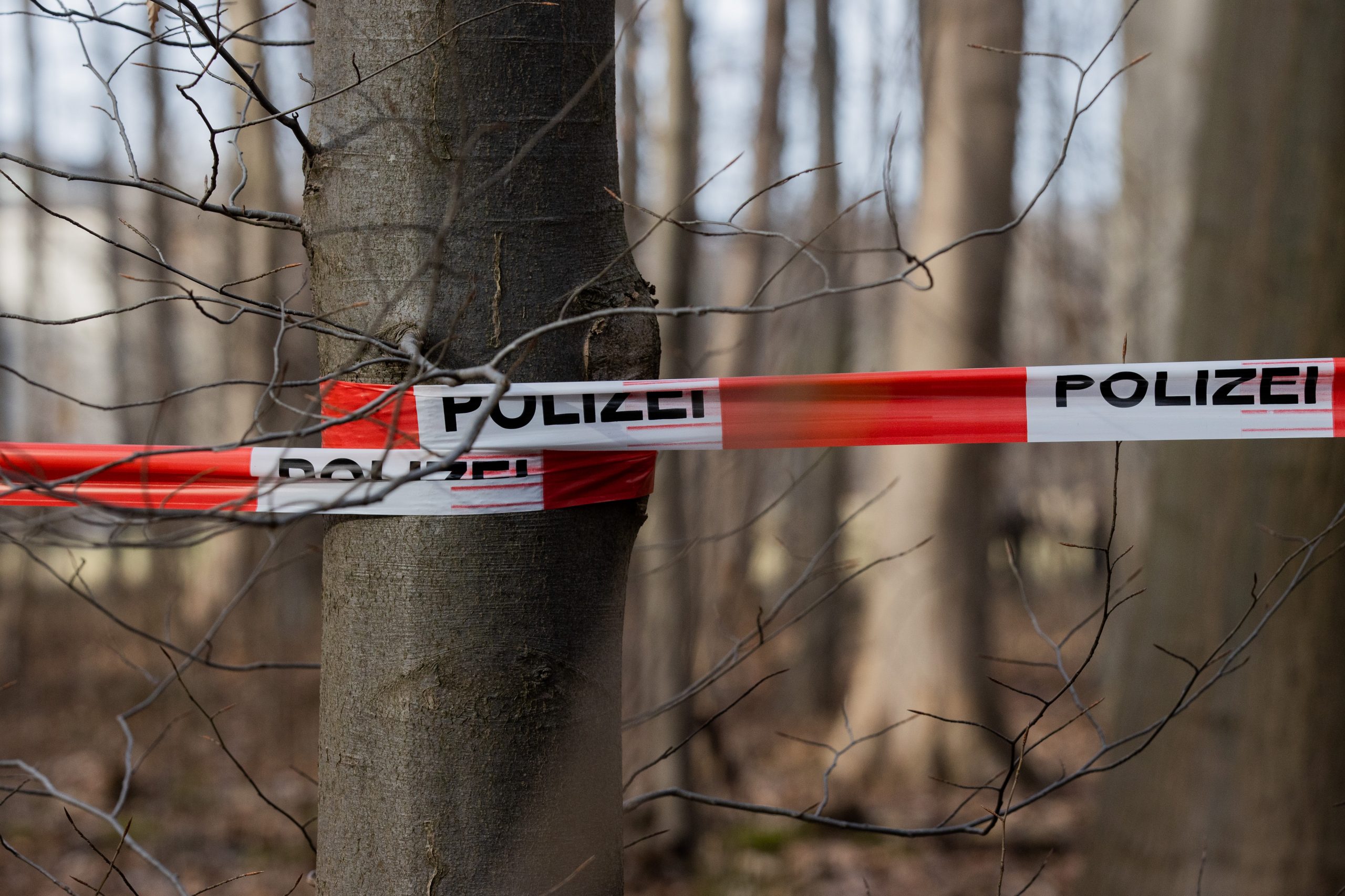 Polizeiabsperrung im Wald