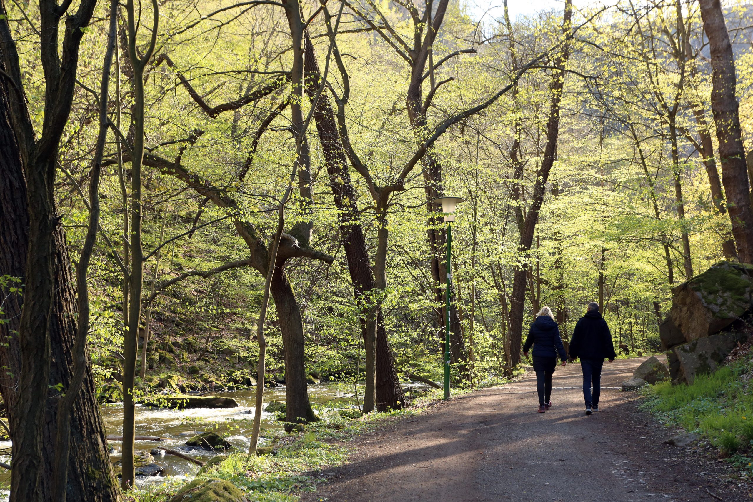 Mann und Frau gehen ein Waldweg entlang.