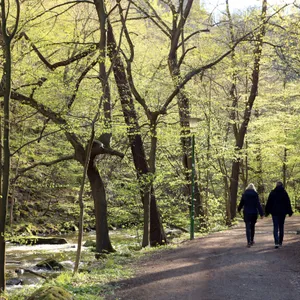 Mann und Frau gehen ein Waldweg entlang.