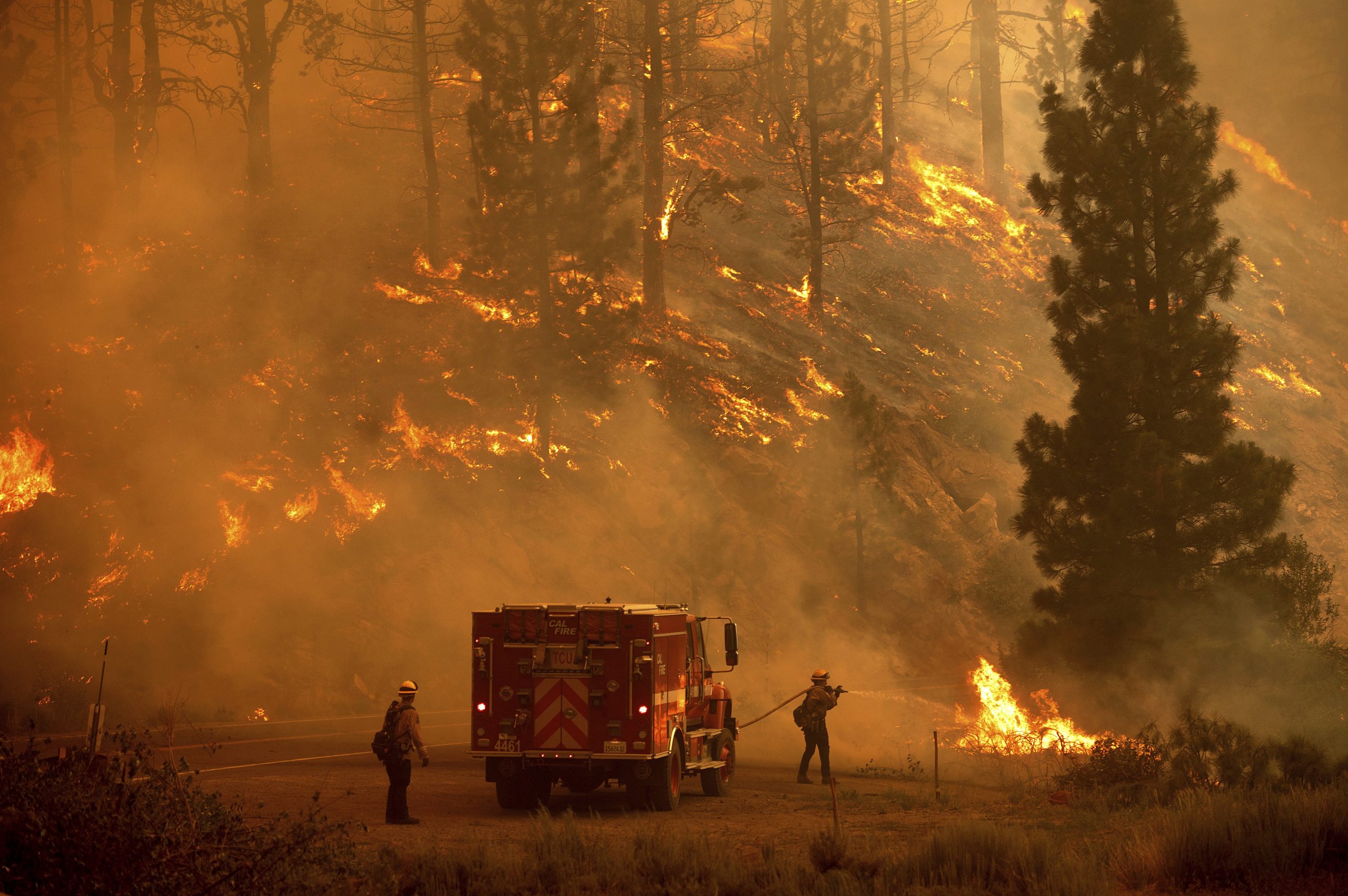 Ein Flammeninferno in einem Wald in Kalifornien