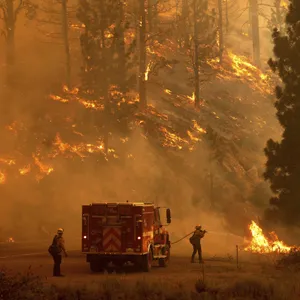 Ein Flammeninferno in einem Wald in Kalifornien