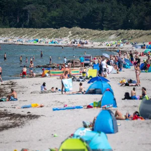 Vibrionen an der Ostsee