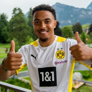 Donyell Malen