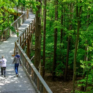 Einweihung Baumwipfelpfad Usedom