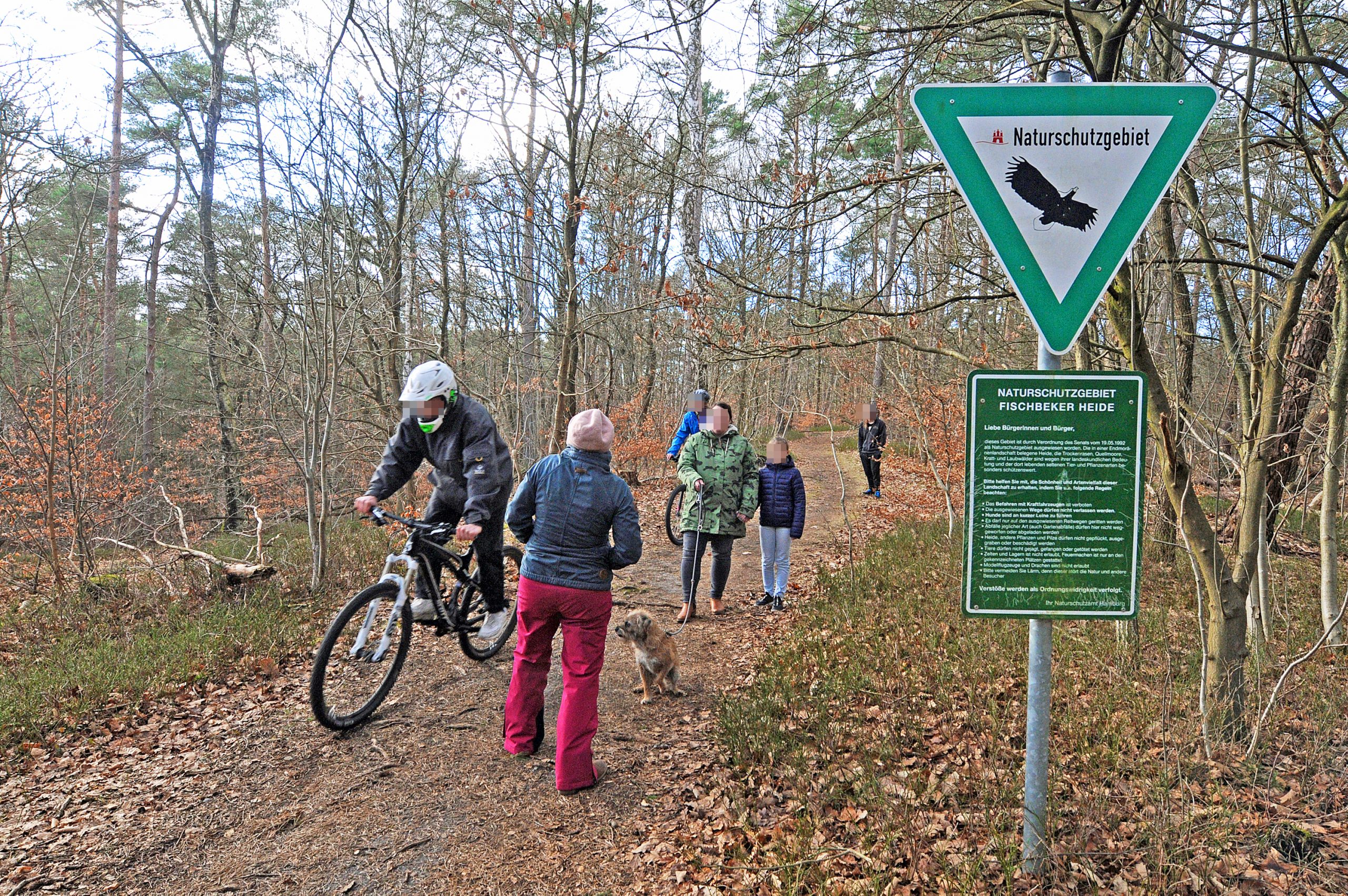 Mountainbiker sorgen in Naturschutzgebieten immer wieder für Ärger – wie beispielsweise hier in der Fischbeker Heide.