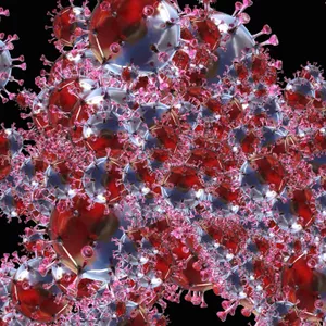 Coronavirus (Illustration)