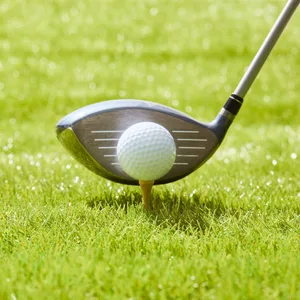 Golfball mit Schläger