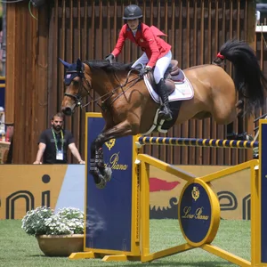 Jessica Springsteen auf dem Pferd
