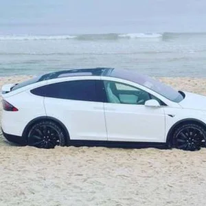 Tesla am Strand