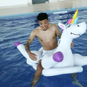 Jadon Sancho auf Plastik-Einhorn