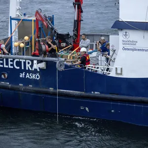 Schweden untersucht MS Estonia