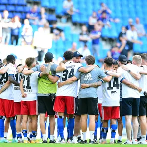 Die HSV-Profis im Mittelkreis