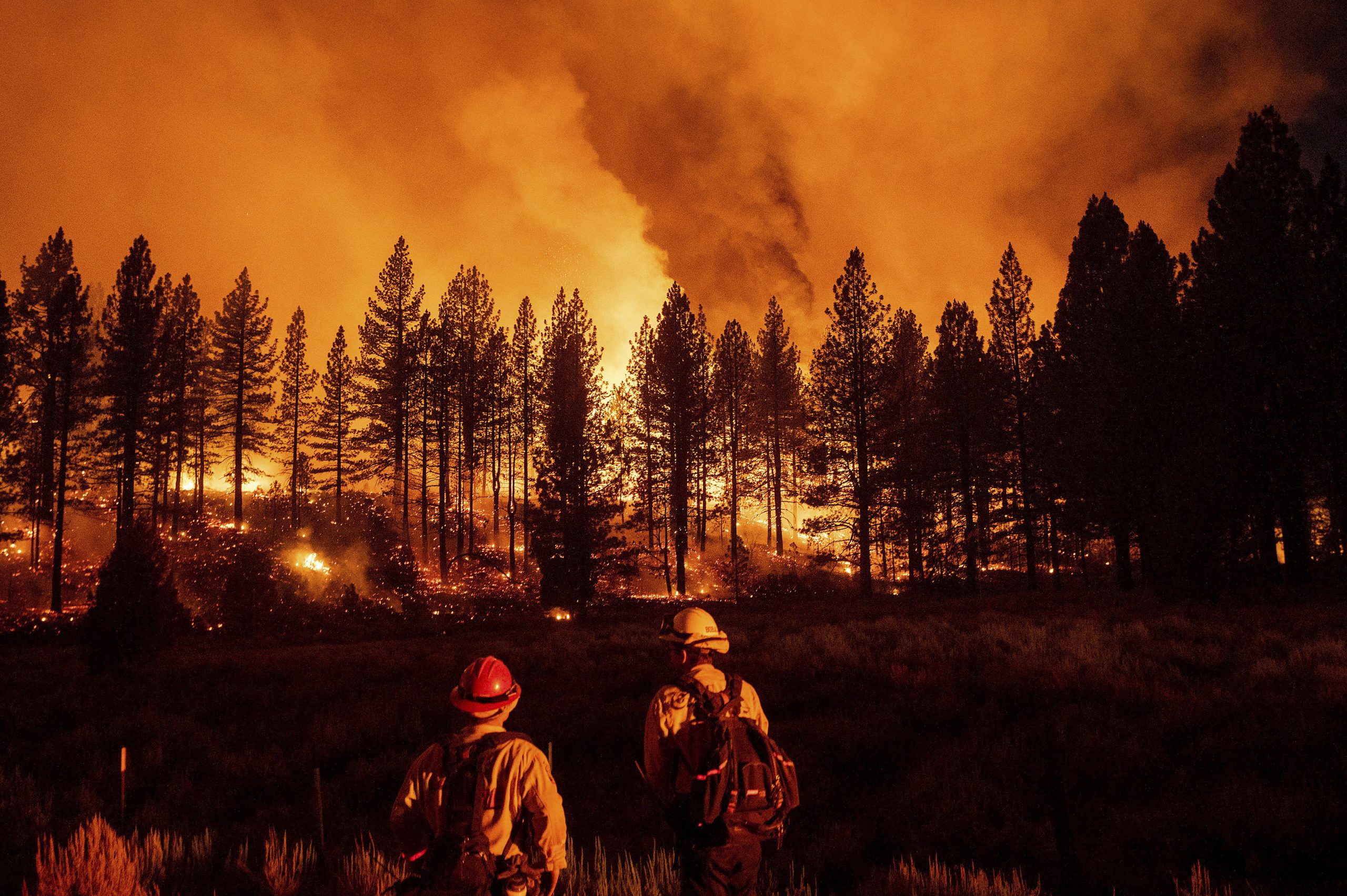 Waldbrand in Kalifornien