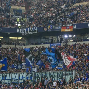 HSV-Fans auf Schalke