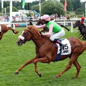 Andrasch Starke war auf Sisfahan beim Galopp-Derby nicht zu stoppen.