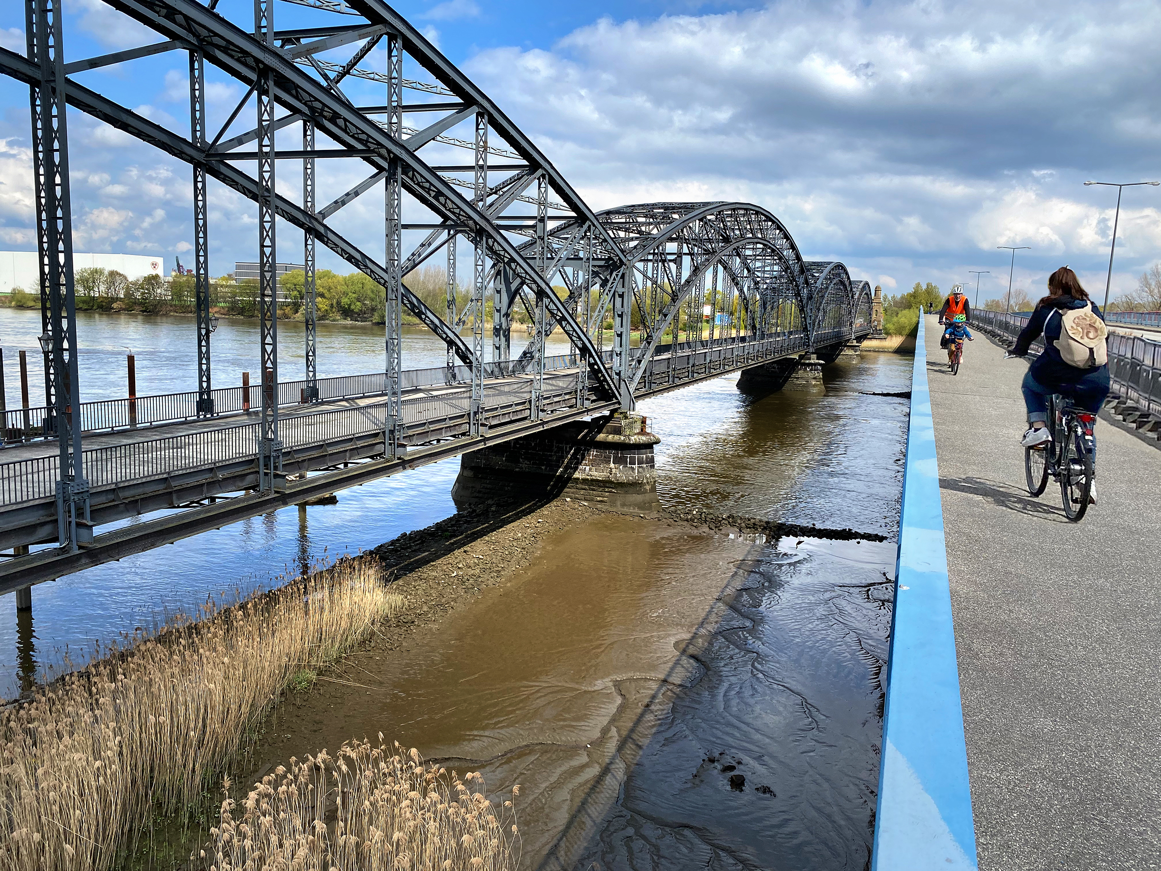 Der MOPO-Test: Wie fährt es sich auf der Veloroute Nummer 11 in Hamburg?