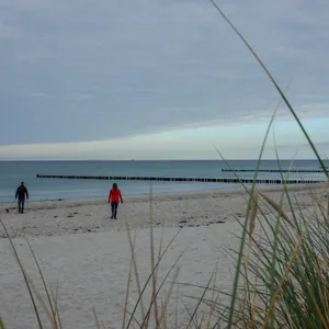 Meer und Strand mit Dünen
