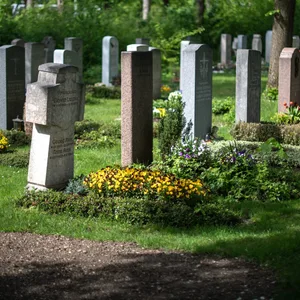 Friedhof
