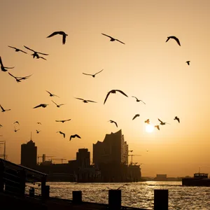 Hamburg