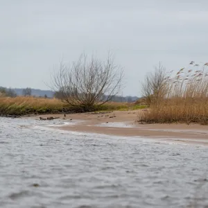Elbstrand
