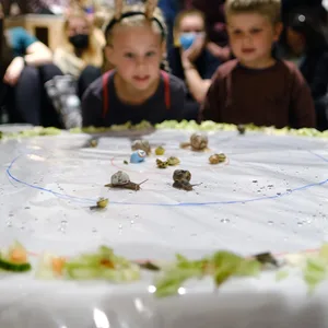 Kinder verfolgen gebannt das Rennen der 25 Schnecken.