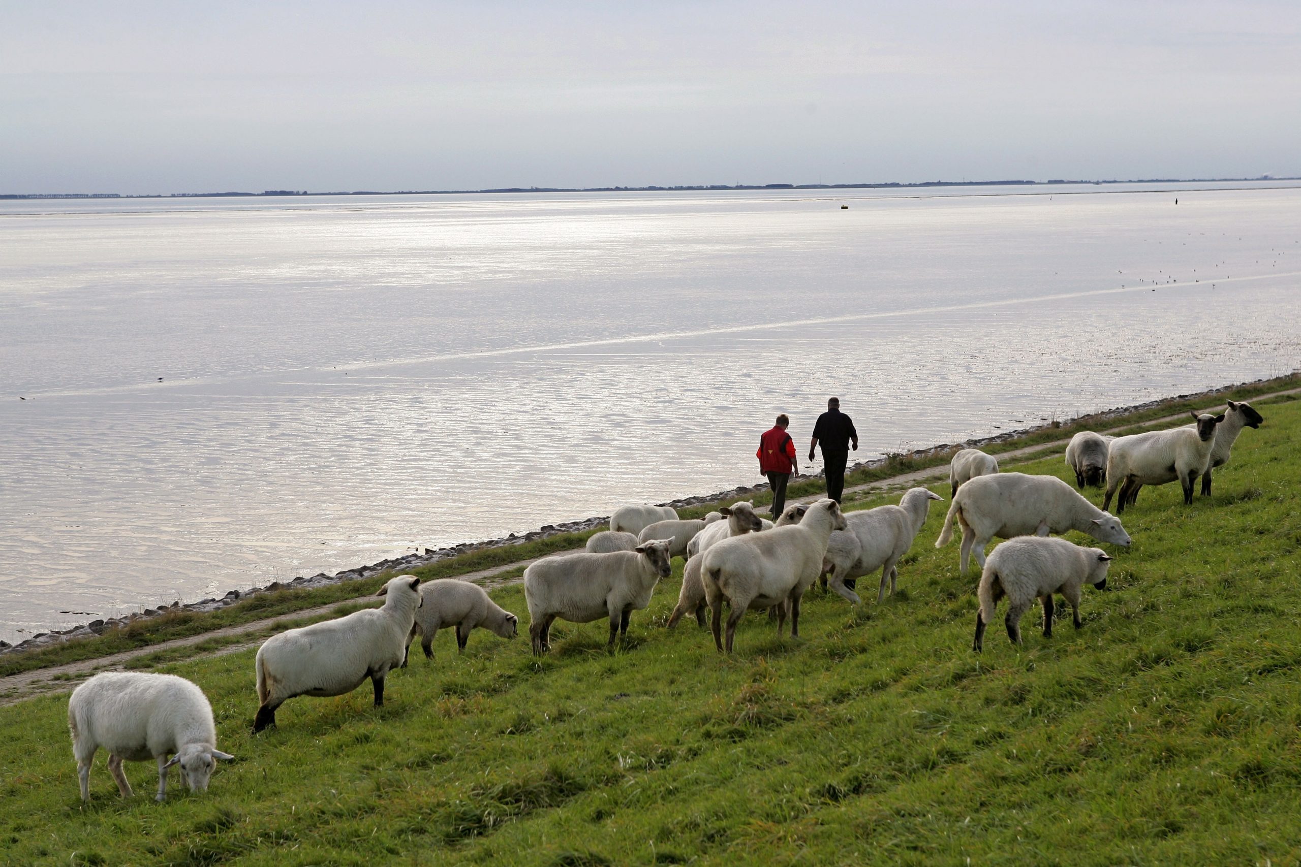 Deich in Emden.